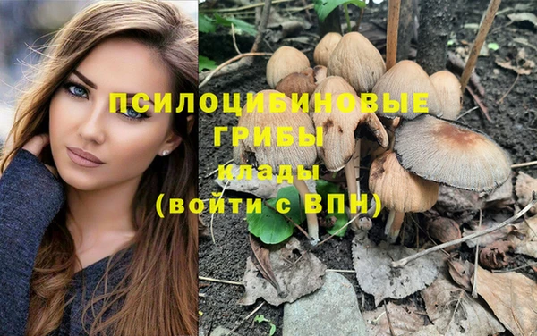 не бодяженный Горняк