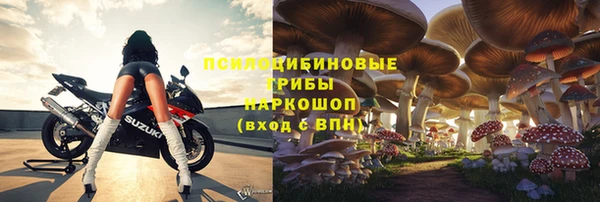 jwh Горно-Алтайск